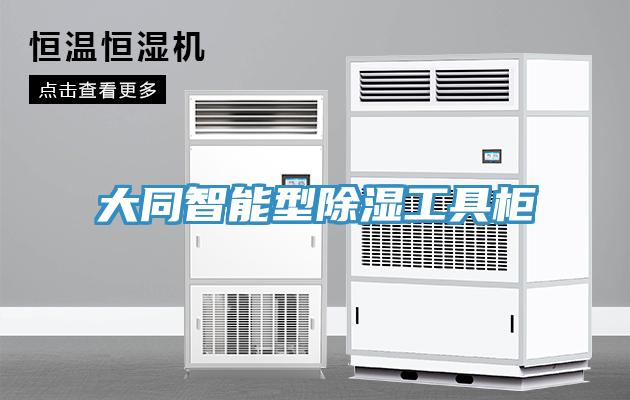 大同智能型除濕工具柜