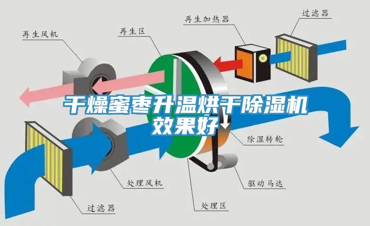 干燥蜜棗升溫烘干除濕機(jī)效果好