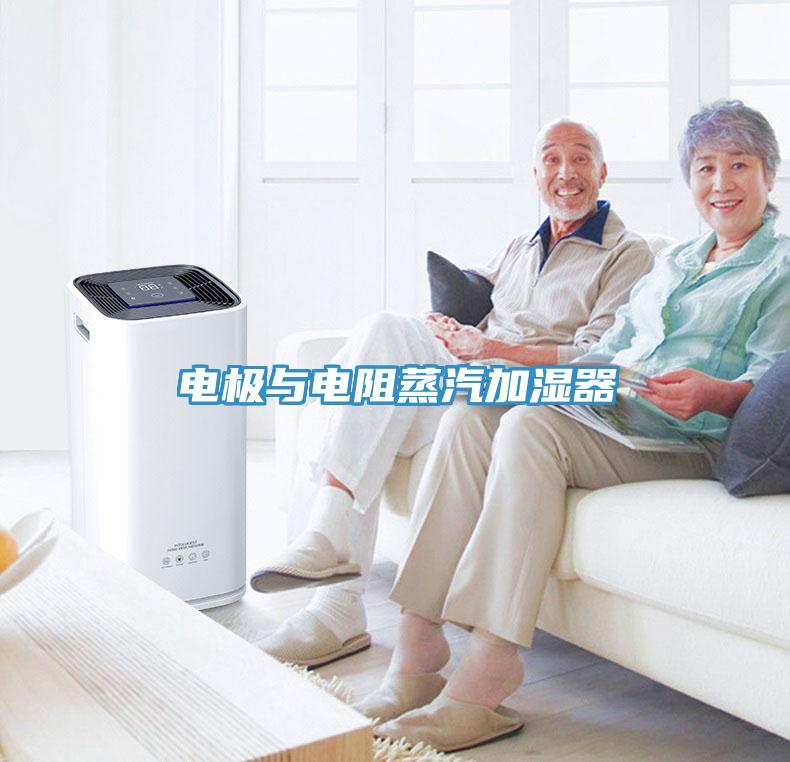 電極與電阻蒸汽加濕器