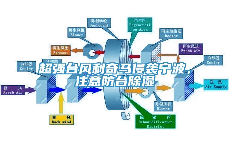 超強臺風利奇馬侵襲寧波，注意防臺除濕