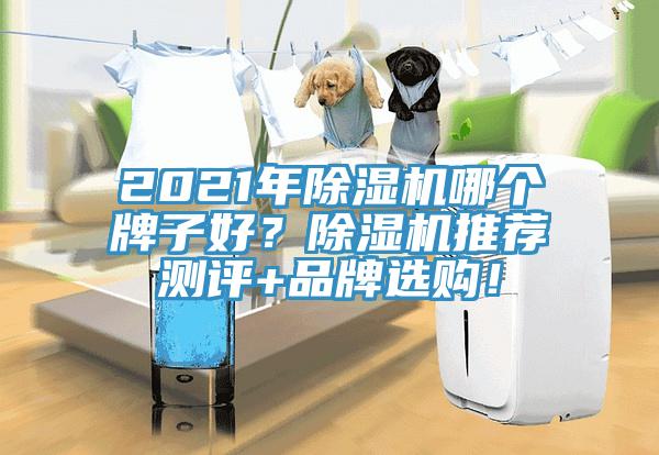 2021年除濕機(jī)哪個(gè)牌子好？除濕機(jī)推薦測(cè)評(píng)+品牌選購！