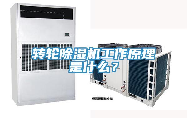 轉輪除濕機工作原理是什么？