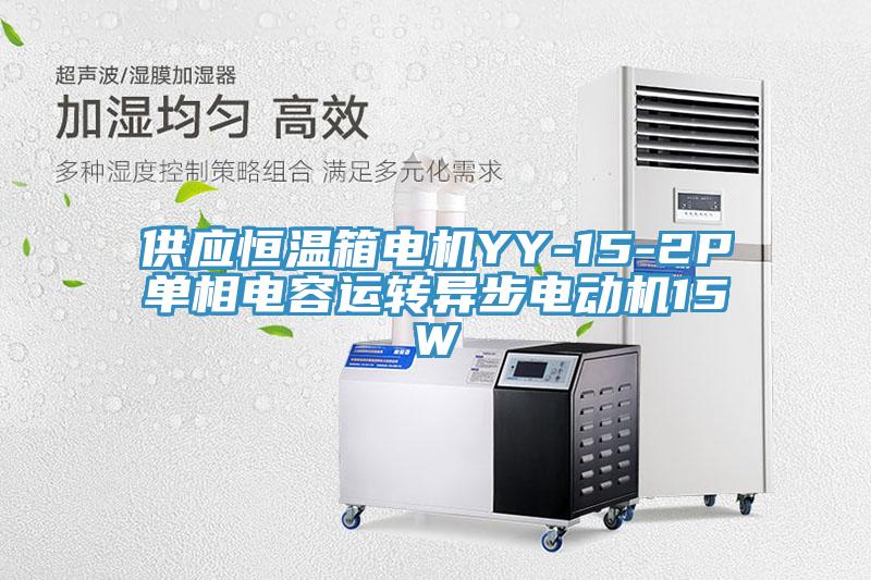 供應(yīng)恒溫箱電機YY-15-2P單相電容運轉(zhuǎn)異步電動機15W