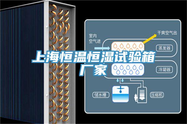 上海恒溫恒濕試驗(yàn)箱廠家