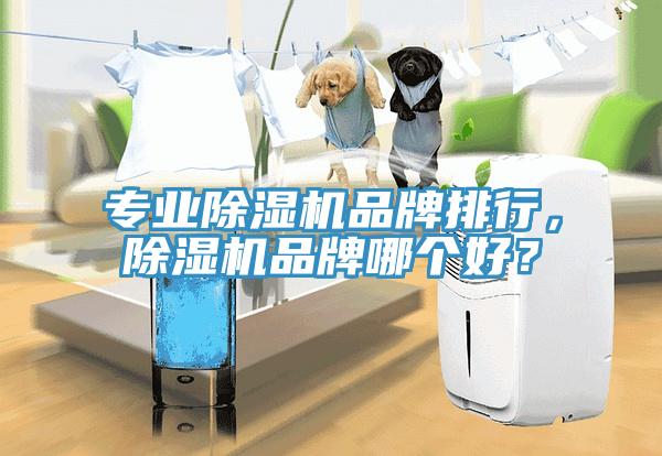 專業除濕機品牌排行，除濕機品牌哪個好？