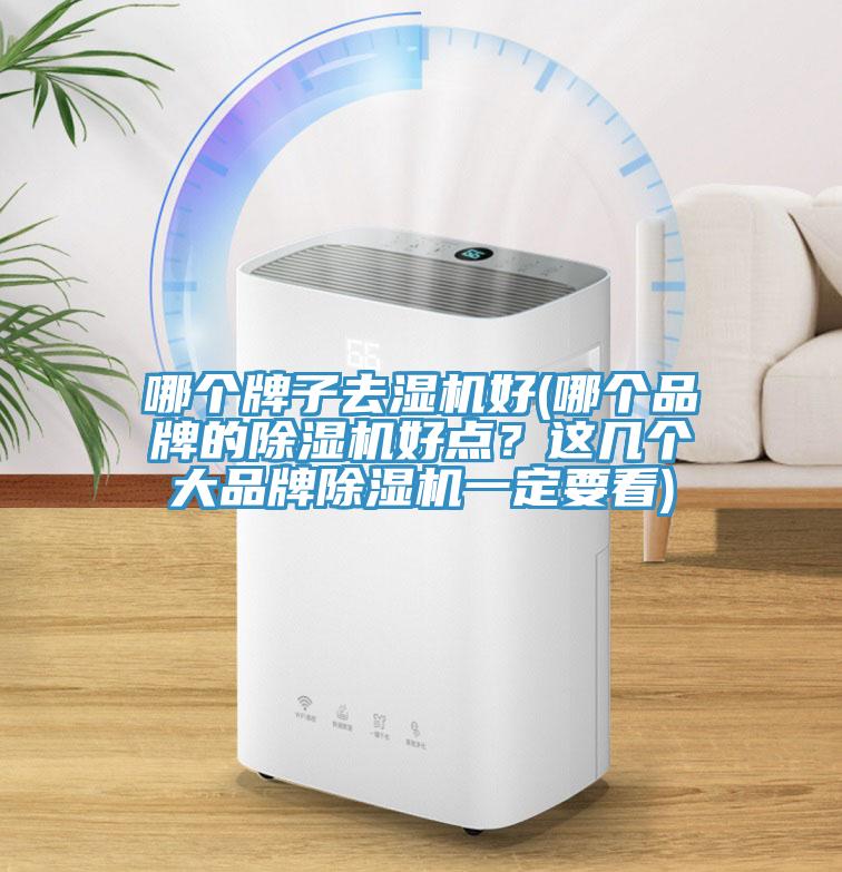 哪個牌子去濕機好(哪個品牌的除濕機好點？這幾個大品牌除濕機一定要看)