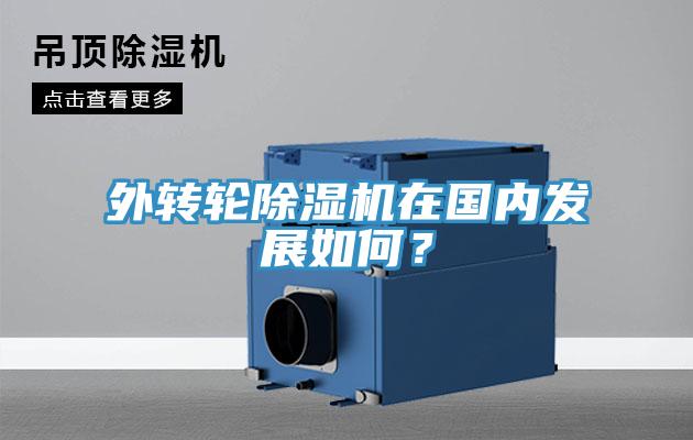 外轉輪除濕機在國內發展如何？