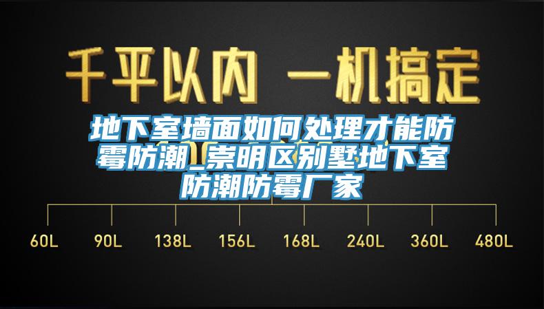 地下室墻面如何處理才能防霉防潮_崇明區別墅地下室防潮防霉廠家