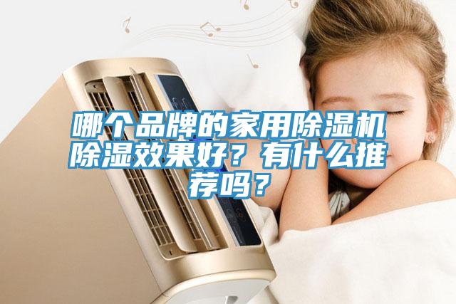 哪個品牌的家用除濕機除濕效果好？有什么推薦嗎？