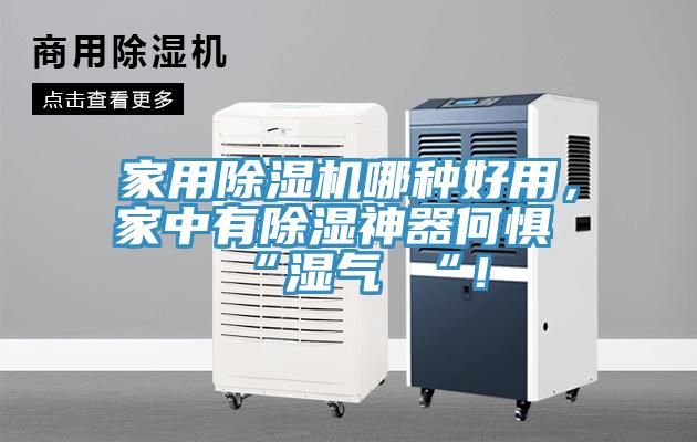 家用除濕機哪種好用，家中有除濕神器何懼 “濕氣 “！