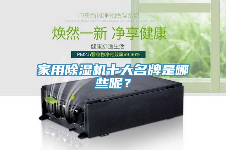 家用除濕機十大名牌是哪些呢？