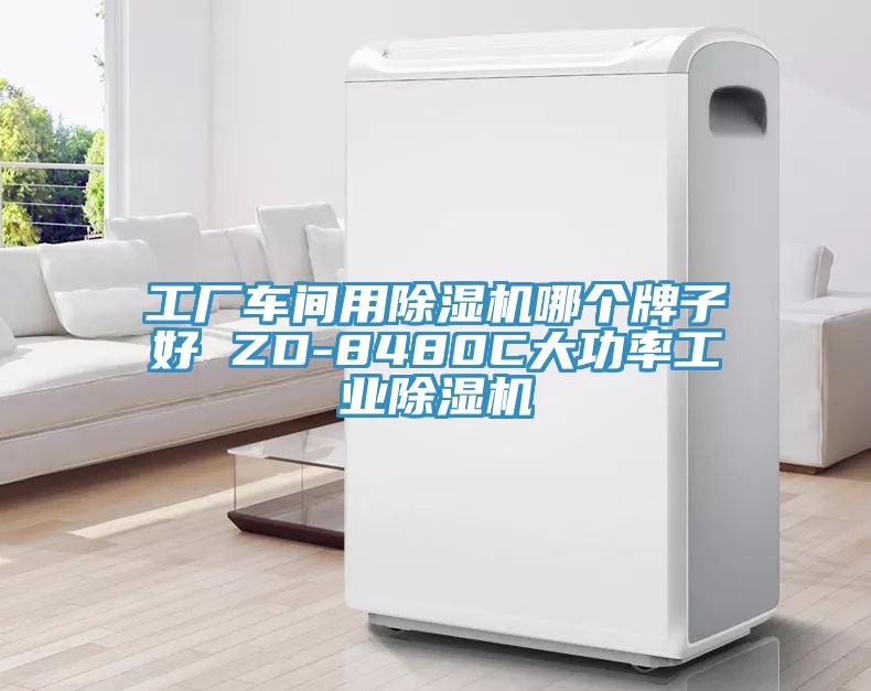 工廠車間用除濕機(jī)哪個(gè)牌子好 ZD-8480C大功率工業(yè)除濕機(jī)