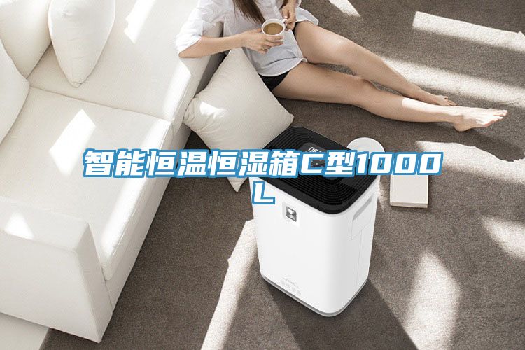 智能恒溫恒濕箱C型1000L