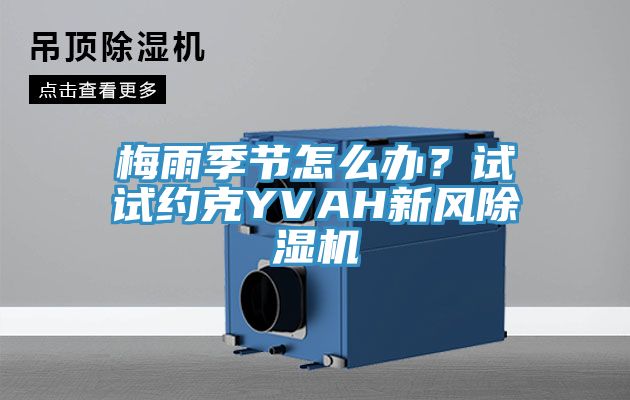 梅雨季節怎么辦？試試約克YVAH新風除濕機