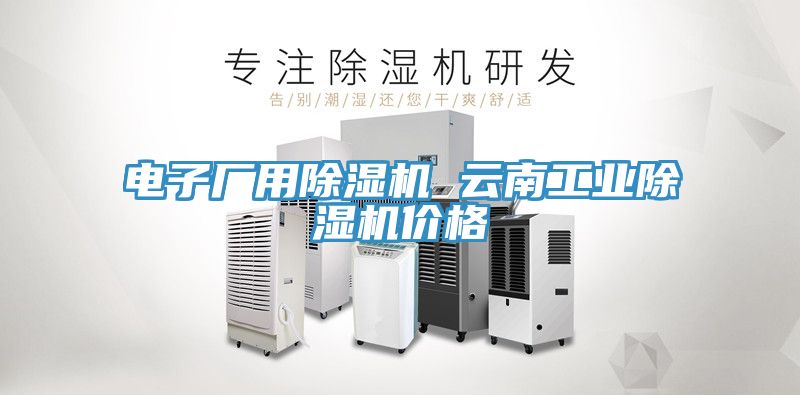 電子廠用除濕機 云南工業除濕機價格