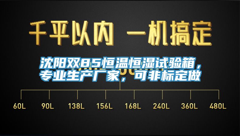 沈陽雙85恒溫恒濕試驗箱，專業生產廠家，可非標定做