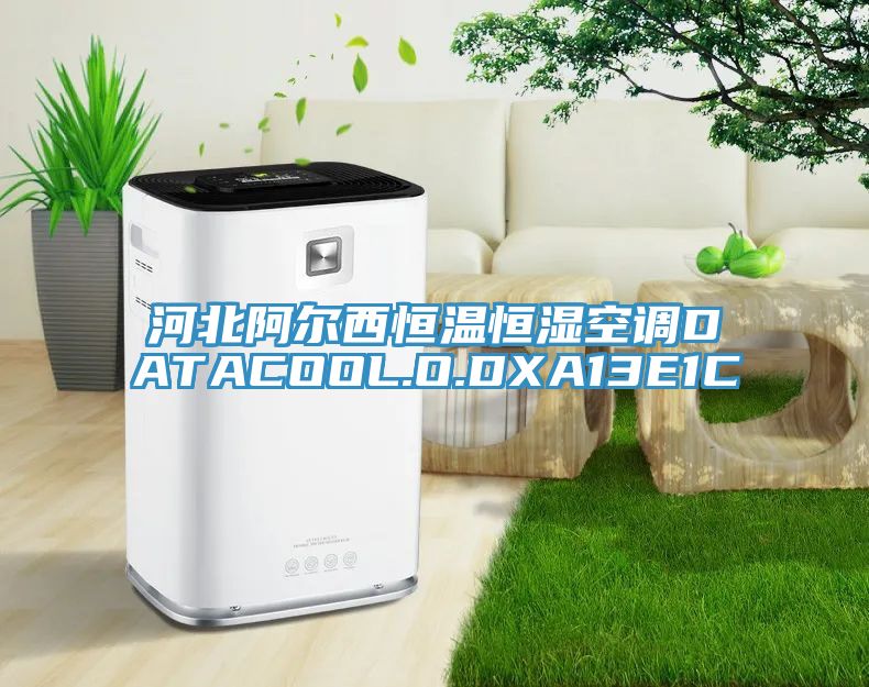 河北阿爾西恒溫恒濕空調DATACOOL.O.DXA13E1C