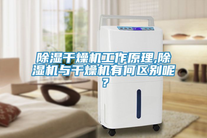 除濕干燥機工作原理,除濕機與干燥機有何區別呢？