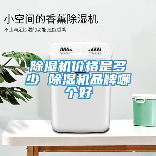 除濕機(jī)價(jià)格是多少 除濕機(jī)品牌哪個好