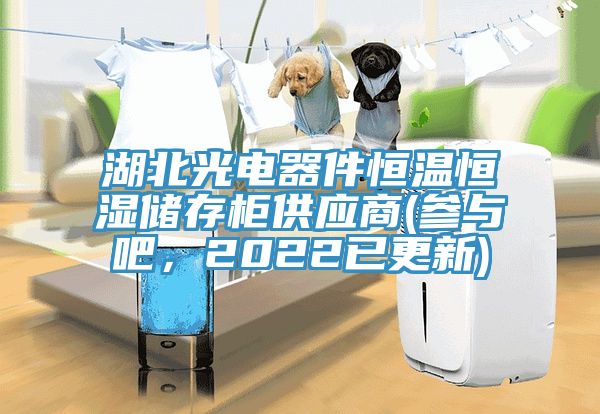 湖北光電器件恒溫恒濕儲存柜供應商(參與吧，2022已更新)