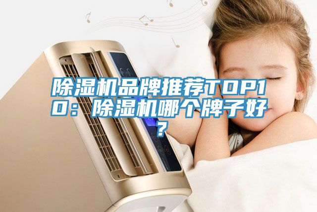 除濕機品牌推薦TOP10：除濕機哪個牌子好？